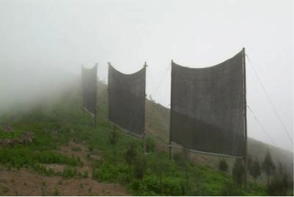 Net harvesting from dew
